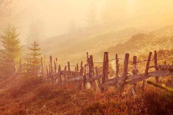 Kleurrijke herfst landschap scène met hek in Transsylvanië — Stockfoto
