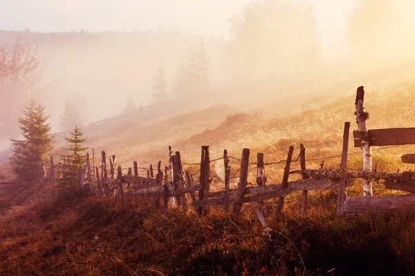 Barevný podzimní krajina scéna s plotem v Transylvánii — Stock fotografie