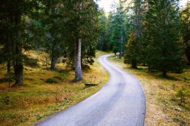 Dolomites dağlarında dağ yolu