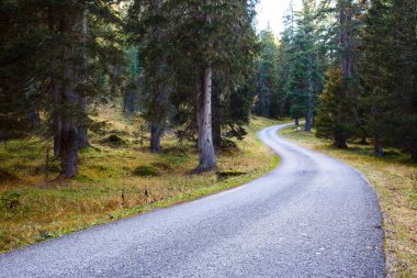 Dolomites dağlarında dağ yolu