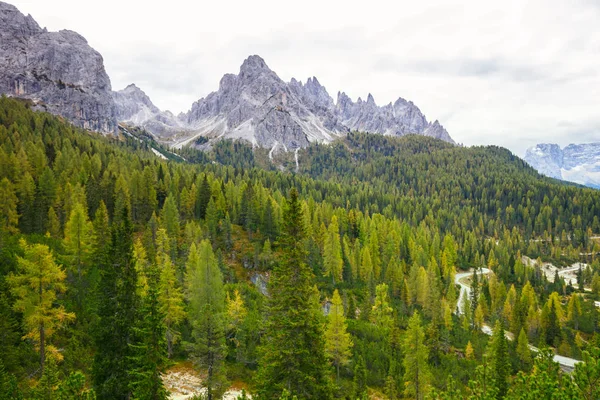Vista aérea de un enorme bosque de pinos verdes y sanos en los Alpes Dolomitas — Foto de Stock