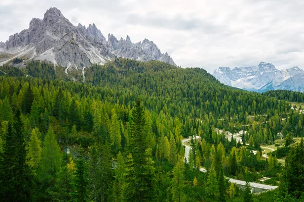 多洛米蒂山阿尔卑斯山巨大绿色健康松林的鸟瞰图 — 图库照片