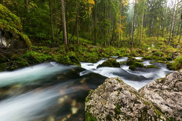 Un rápido arroyo montañoso que corre profundo en un denso bosque —  Fotos de Stock