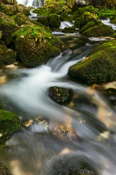 Un ruisseau de montagne rapide qui coule profondément dans une forêt dense — Photo
