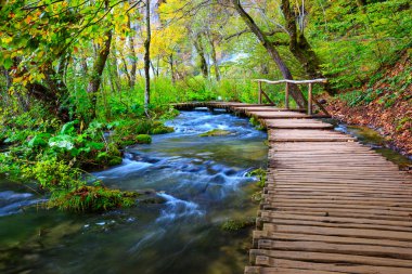 Sahil park Plitvice Gölleri