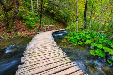 Sahil park Plitvice Gölleri