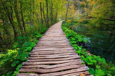 Sahil park Plitvice Gölleri