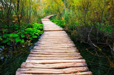 Sahil park Plitvice Gölleri