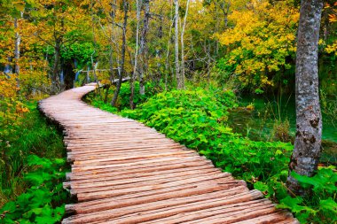 Sahil park Plitvice Gölleri