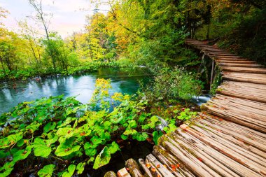 Şelaleler Plitvice Milli Parkı