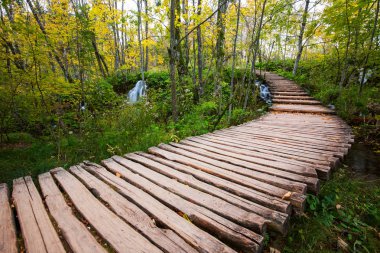 Sahil park Plitvice Gölleri