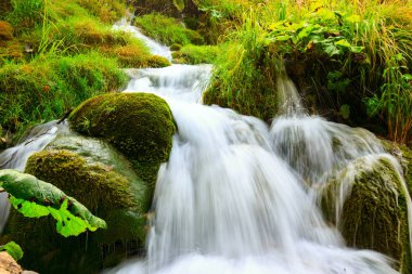 Güzel şelale, Plitvice Milli Parkı 