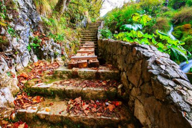 Güzel bir sonbahar sahne Plitvice Milli Parkı'nda