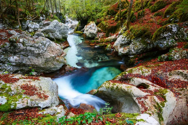 Ruisseau de montagne automne dans la vallée de Lepena — Photo