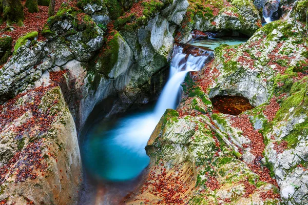 Ruisseau de montagne automne dans la vallée de Lepena — Photo