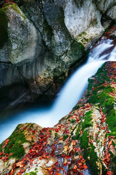 Mountain creek hösten i dalen Lepena — Stockfoto