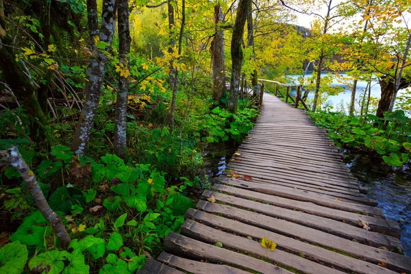 Passeggiata nel parco Laghi di Plitvice — Foto Stock