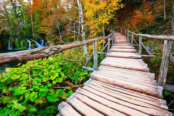 Boardwalk in the park Plitvice lakes