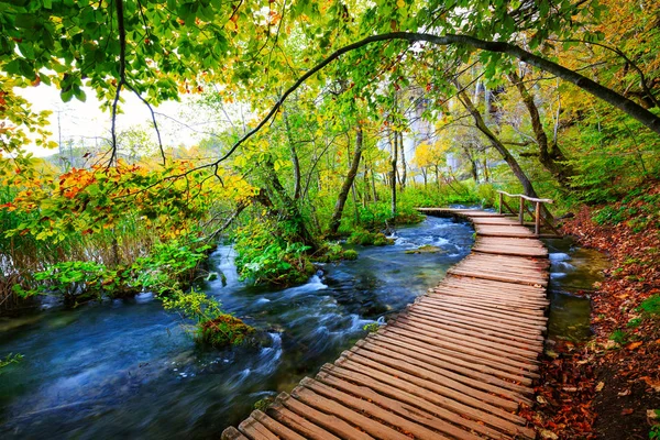 Passeio a pé no parque Lagos Plitvice — Fotografia de Stock