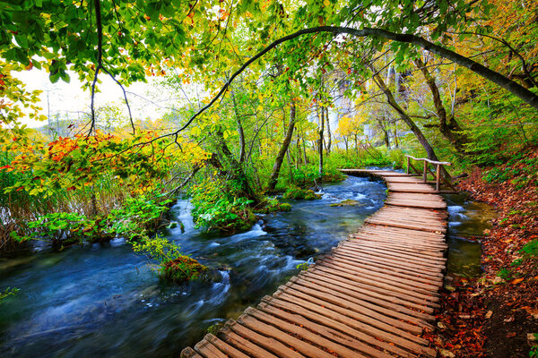 Boardwalk in the park Plitvice lakes