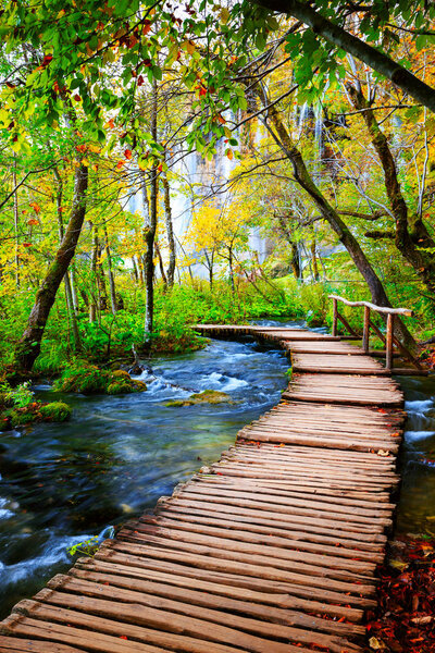 Boardwalk in the park Plitvice lakes
