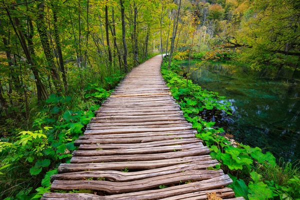 Passeggiata nel parco Laghi di Plitvice — Foto Stock