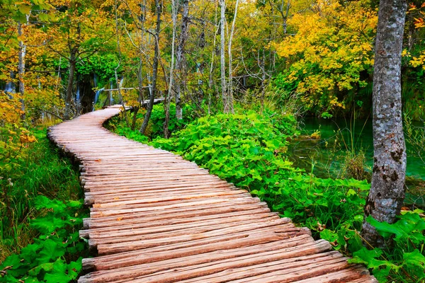 Dřevěný chodník v parku Plitvická jezera — Stock fotografie