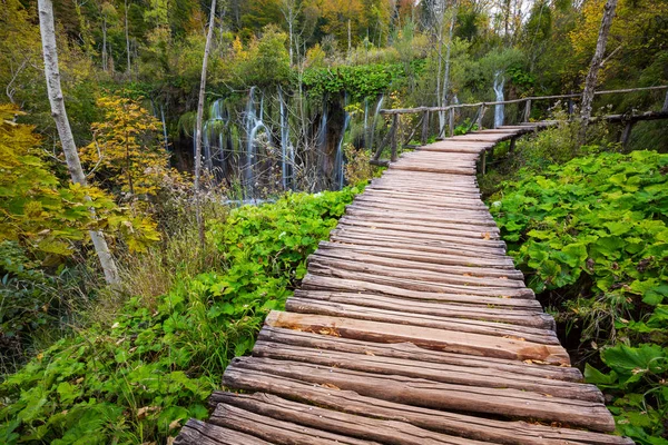 Sétány a park Plitvicei tavak — Stock Fotó
