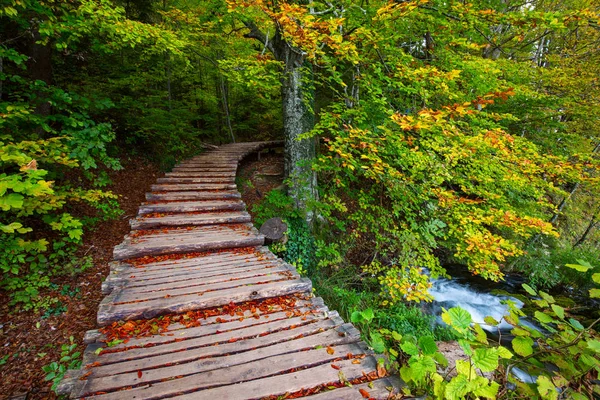 Promenade dans le parc Lacs de Plitvice — Photo