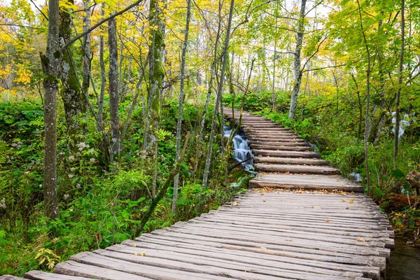 Promenada w parku Jezior Plitwickich — Zdjęcie stockowe