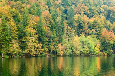 Tortum Orman Gölü Kozjak Plitvice Milli Parkı'nda