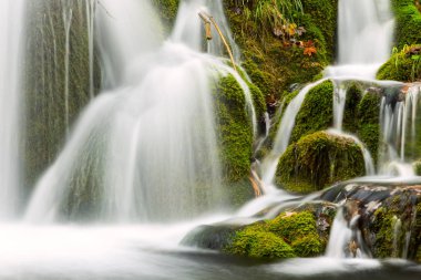 Plitvice Milli Parkı içinde derin orman şelale