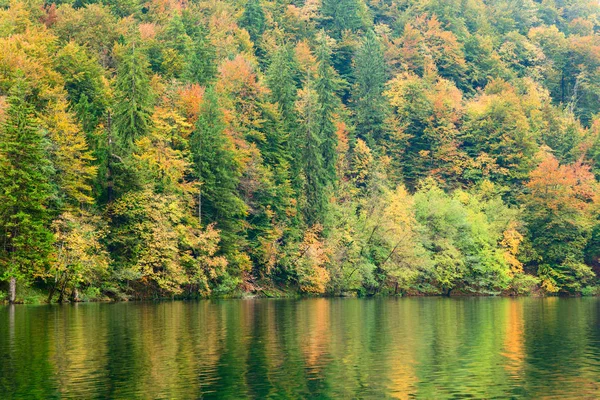 Őszi erdő a Kozjak-tó a Plitvicei Nemzeti Park — Stock Fotó