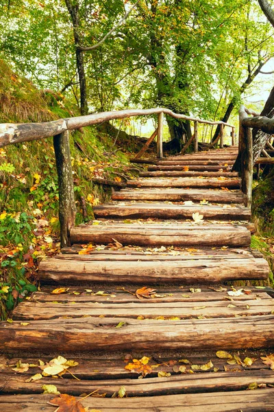 Percorso turistico in legno nel parco nazionale dei laghi di Plitvice — Foto Stock