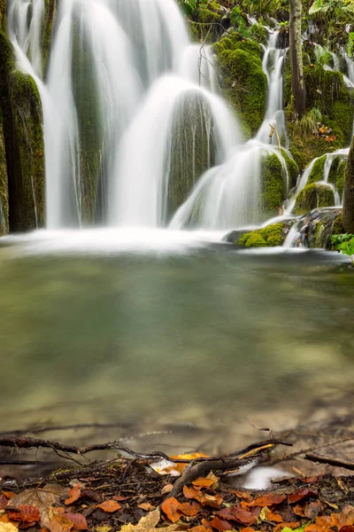 Cascade en forêt profonde dans le parc national de Plitvice — Photo