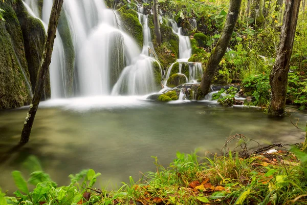 Cascade en forêt profonde dans le parc national de Plitvice — Photo