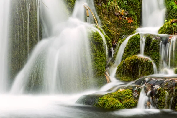 Cascade en forêt profonde dans le parc national de Plitvice — Photo