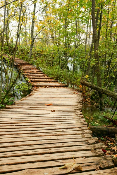 Percorso turistico in legno nel parco nazionale dei laghi di Plitvice — Foto Stock