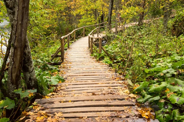 Caminho turístico de madeira no parque nacional dos lagos Plitvice — Fotografia de Stock