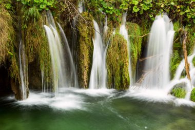 Plitvice Milli Parkı içinde derin orman şelale