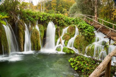 Plitvice Milli Parkı içinde derin orman şelale