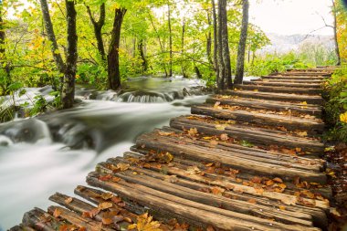 plitvice gölleri Milli Parkı içinde ahşap turist yolu