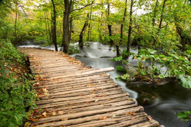 plitvice gölleri Milli Parkı içinde ahşap turist yolu