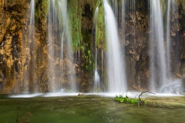 Plitvice Milli Parkı içinde derin orman şelale