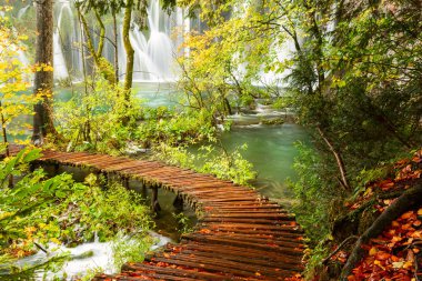 plitvice gölleri Milli Parkı içinde ahşap turist yolu