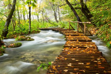 plitvice gölleri Milli Parkı içinde ahşap turist yolu