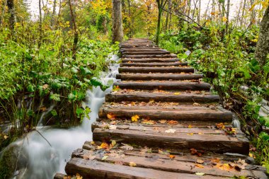 plitvice gölleri Milli Parkı içinde ahşap turist yolu