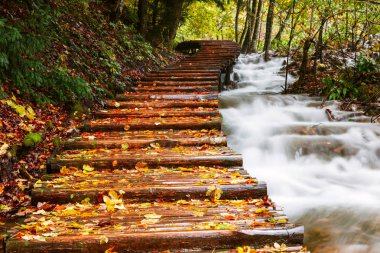 plitvice gölleri Milli Parkı içinde ahşap turist yolu