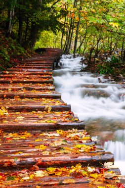 plitvice gölleri Milli Parkı içinde ahşap turist yolu