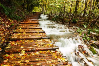 plitvice gölleri Milli Parkı içinde ahşap turist yolu